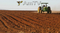 AMTV: Clima seco en EEUU facilita la trilla. Maíz en alza por 5ta jornada consecutiva
