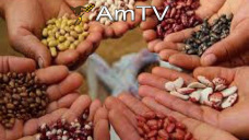 AMTV: Comisión de Agricultura recibió proyecto de Ley de Semillas. Paulatino ascenso de temperatura