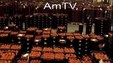 AMTV: Fuertes subas en el precio del tomate. Retrasos de recolección en EEUU
