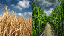 El clima gana atención en EE.UU.