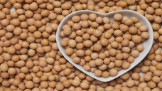 La soja insinúa ligera recuperación tras el fuerte ajuste de ayer