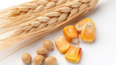 Sin operaciones en Chicago por feriado en EE.UU.