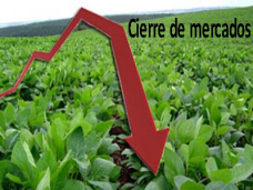 PM TV: Caída fuerte de la soja en CBOT, contrario a lo que esperaba el mercado. Perdió U$S 24