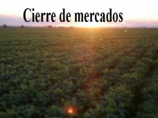 PM TV: Se espera una fuerte reactivación de la demanda por la baja de stocks finales en EE.UU.