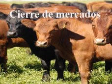 PMTV: “Hacienda: los precios comienzan a mejorar; Soja julio/10 U$S 234,50” 