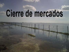 PM TV: Contundente suba para los commodities en Chicago. El petróleo tocó los máximos de 5 semanas