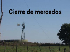 PM TV: Bajaron los futuros de trigo por toma de ganancias. Día positivo para las bolsas