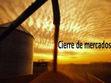 PM TV: Clima favorable para el trigo en el sudoeste. Lluvias auspiciosas para este fín de semana