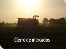 PM TV- Repuntaron la soja y el sorgo disponibles y aparecieron negocios anticipados para trigo nuevo