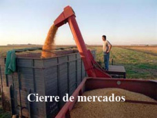 PM TV: Los futuros diferidos de soja registraron ganancias en CBOT. Se acentúa la reducción del stock bovino 