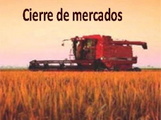 PM TV: Subirían los precios del novillo pesado tras distribución de cuota Hilton