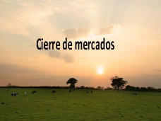 PM TV: Cierre bajista en CBOT. Los granos recibieron presión por una toma de ganancias. Buenos niveles de precios en Liniers