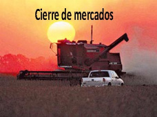 PM TV: Los futuros de soja cerraron en alza en CBOT y MATBA. Las vacas subieron hasta 15 cts. en Liniers