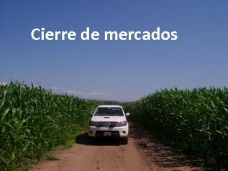 PM TV: Cierre bajista en CBOT. Reapareció un comprador de trigo y pagó el 