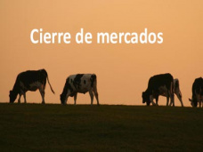 PMTV: “Fuertes bajas para soja y trigo en CBOT. Gobierno adeuda más de $500 millones a feedlots” 