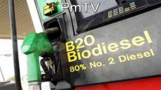 PMTV: El mercado local presentó escasos negocios; la oferta por maíz fue debil