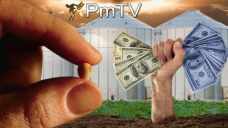 PMTV: NEA y Núcleo presentan diferencia en rindes de soja debido a los anegamientos