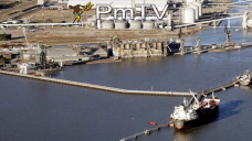 PMTV: Finaliza la semana de CBOT con nuevas caídas en los futuros de la soja