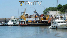 PMTV: El mercado local exhibió subas para el maíz y sorgo. La soja operó dispar en CBOT