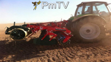 PMTV: CBOT no operó por feriado y las fábricas locales se mostraron cautelosas