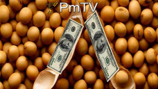 PMTV: Por la escasez de mercadería norteamericana, la soja cerró nuevamente al alza