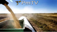 PMTV: El informe de molienda de EEUU dejó bajas superiores a los U$S 6/Tn