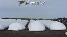 PMTV: Soja con perdidas de U$S 3/Tn y trigo con subas en más de U$S 6/Tn