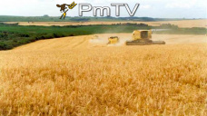 PMTV: La soja finalizó con alzas superiores a U$S 5/Tn