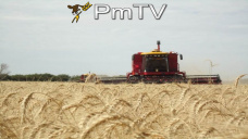 PMTV: Los futuros de trigo treparon más de U$S 2/Tn. Soja finalizó al alza