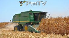 PMTV: Escasas operaciones comerciales. $2020/ Tn por soja. Hoy no operó CBOT