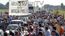 PMTV: Los futuros de soja, maíz y trigo cerraron al alza