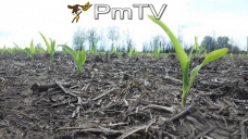 PMTV: Futuros de soja, maíz y trigo finalizaron en alza. Lento ritmo de siembra en Brasil