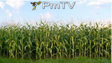 PMTV: Subas en CBOT tras elecciones en Arg., abundante oferta en EEUU y buen clima en Sudamérica