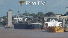 PMTV: Subas en CBOT: u$s 5/Tn soja y U$S 2 maíz. Dólar sin cepo casi a $14