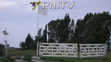 PMTV: Reporte del USDA corrigió estimaciones de cosecha sojera. Alzas en CBOT