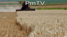 PMTV: Datos del foro anual del USDA fueron bajistas para soja y maíz