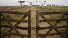 PMTV: La soja de CBOT no logró frenar las subas que percibe hace más de una semana