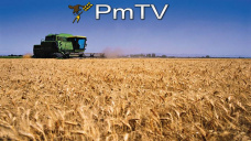 PMTV: Trigo y maíz finalizaron en saldo negativo mientras que la soja logró repuntar