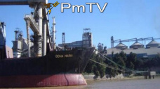 PMTV: La soja ajustó con saldo positivo y el maíz se mantuvo sin cambios