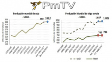 PMTV: El informe USDA golpeó a los commodities. Caídas de más de tres dólares en Soja, Maíz y Trigo