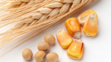 Jornada de volumen reducido a nivel local