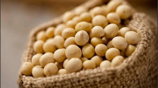 Jornada de ajustes negativos para la soja