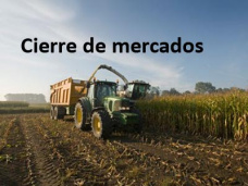 PMTV: “Alertan sobre factores que impulsan el consumo familiar artificialmente. Escasa demanda en Liniers” 