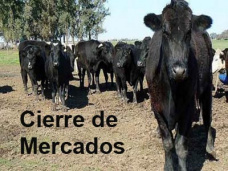 PMTV: “Ingresó un 10% más de hacienda en Liniers con precios estables. Soja baja en CBOT” 