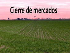 PMTV: “Futuros de soja y trigo finalizaron la rueda de Chicago con pérdidas”