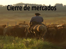 PMTV: “Bajas generales en granos por posibles cancelaciones de embarques desde EE.UU. hacia Japón” 