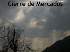 PMTV: “Futuros de trigo en alza en CBOT y MATBA; Subas para todas las categorías en Liniers” 