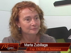 MDC: “Residuos, compostaje y generación de energía”- Marta Zubillaga- FAUBA