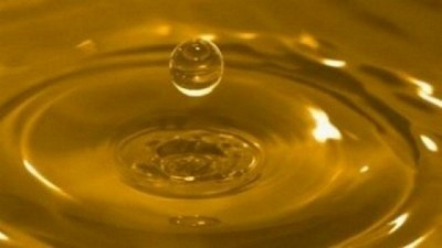 Taller: Los biocombustibles y el comercio nacional e internacional, perspectivas, limitantes y oportunidades