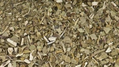 Nuevos Directores de la Industria en el INYM